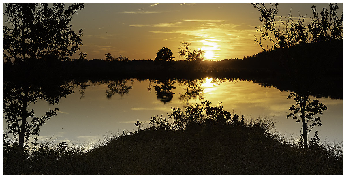 Jill 1 SunsetPineBarrens1